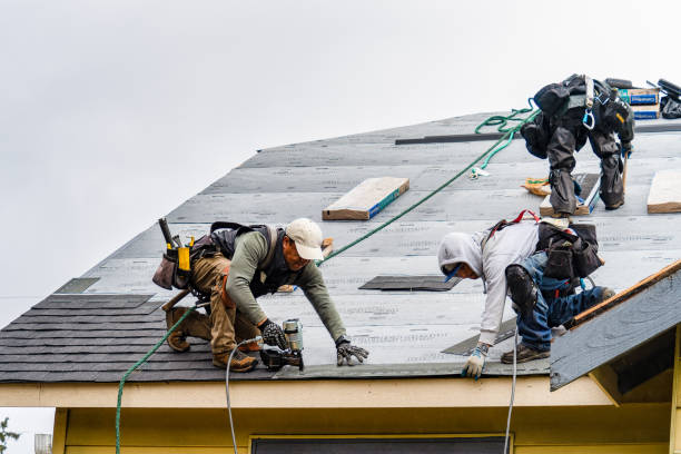 Professional Storm Damage Roof Repair technician working in Erie, ND